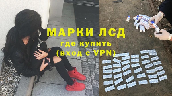 a pvp Володарск