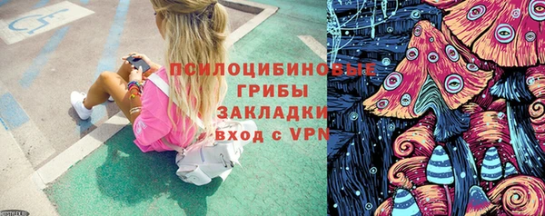 соль ск Михайловка
